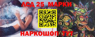 гашик Тверь