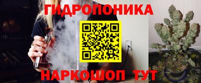 гашик Тверь