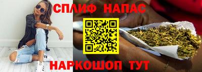 гашик Тверь