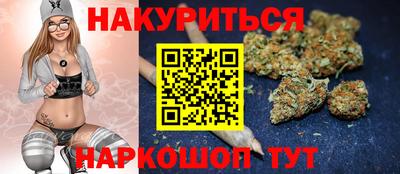 гашик Тверь