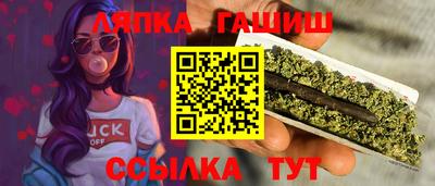 гашик Тверь