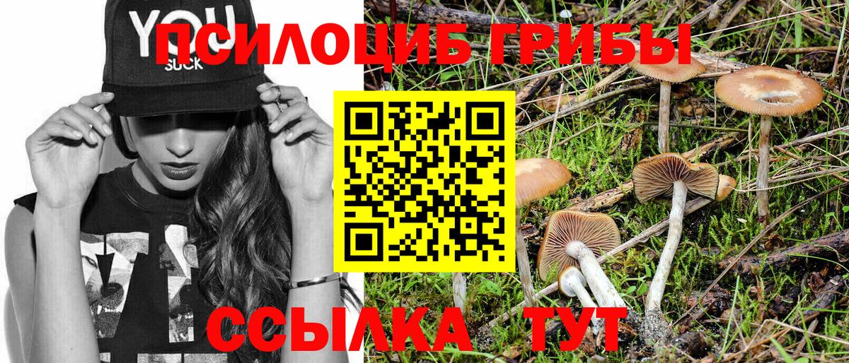 где можно купить   Галлюциногенные грибы GOLDEN TEACHER  Муром  Вход с VPN  Галлюциногенные грибы мухоморы 