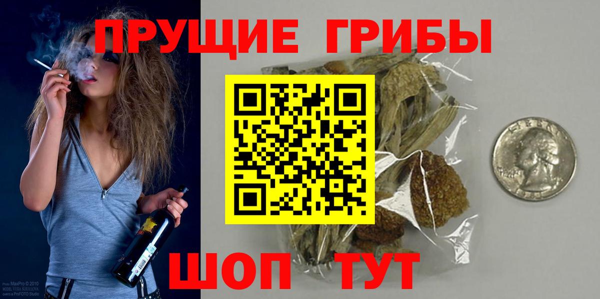 Галлюциногенные грибы Cubensis Муром